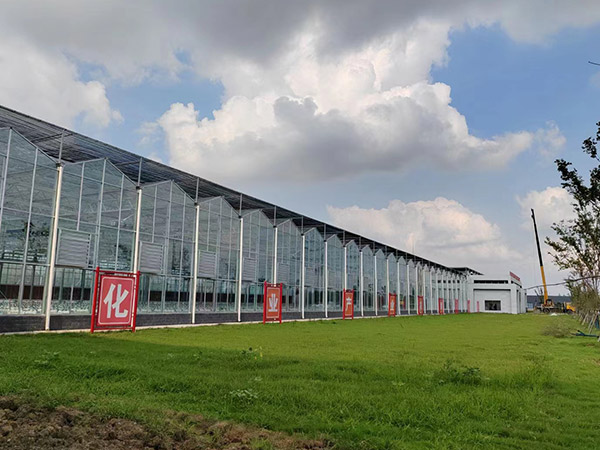 安徽智能玻璃溫室大棚