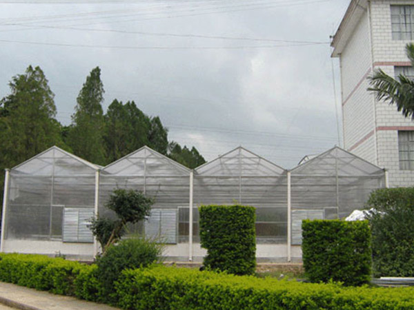 德州陽光板溫室大棚