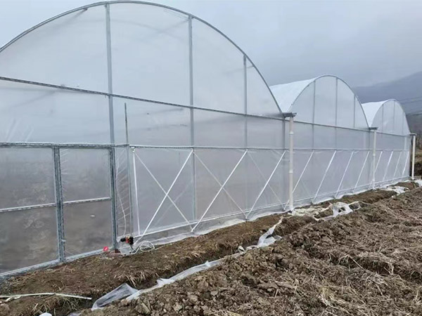 黑龍江薄膜大棚工程