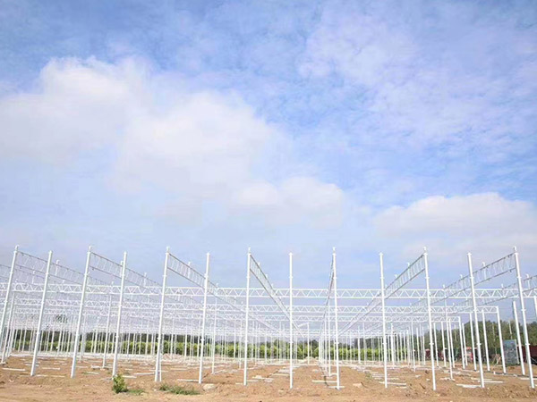 沈陽溫室大棚骨架建造