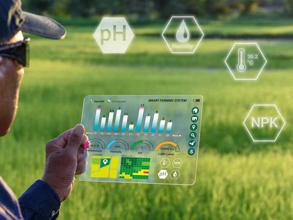 黑龍江新型農(nóng)業(yè)智能化溫室大棚