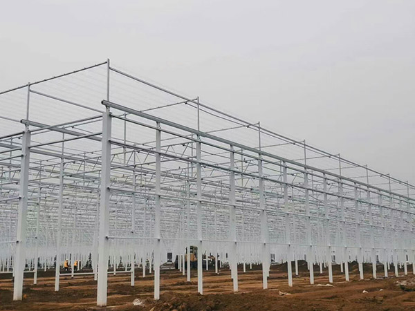 濰坊溫室大棚骨架