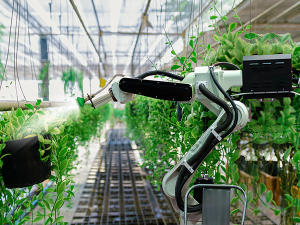 湖南溫室機(jī)器人