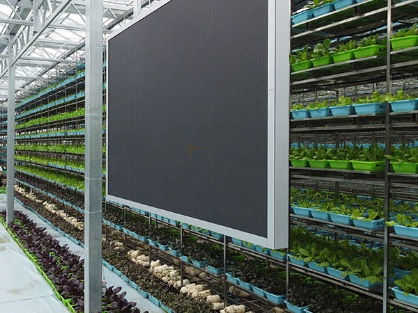 齊齊哈爾物聯(lián)網(wǎng)控制系統(tǒng)